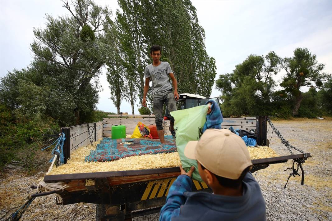 Konya'da kiraladıkları adada hazırladıkları saman balyalarını 'yüzdürerek' karaya ulaştırıyorlar 23