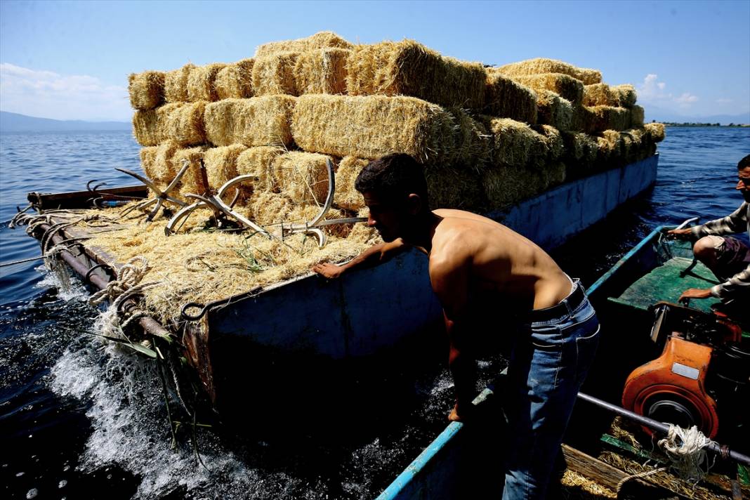 Konya'da kiraladıkları adada hazırladıkları saman balyalarını 'yüzdürerek' karaya ulaştırıyorlar 33