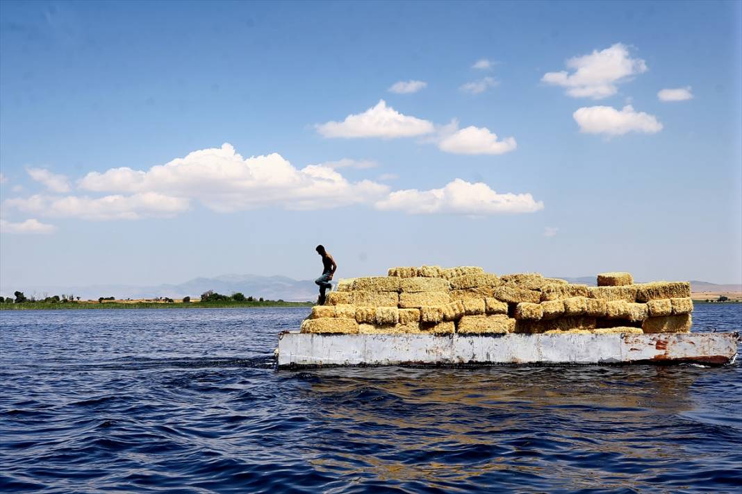 Konya'da kiraladıkları adada hazırladıkları saman balyalarını 'yüzdürerek' karaya ulaştırıyorlar 8