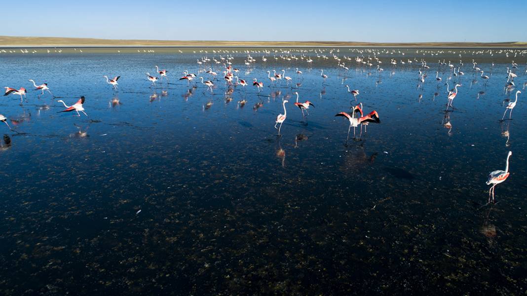 Konya’daki Düden Gölü’nde flamingoların yaşam alanı daralıyor 7