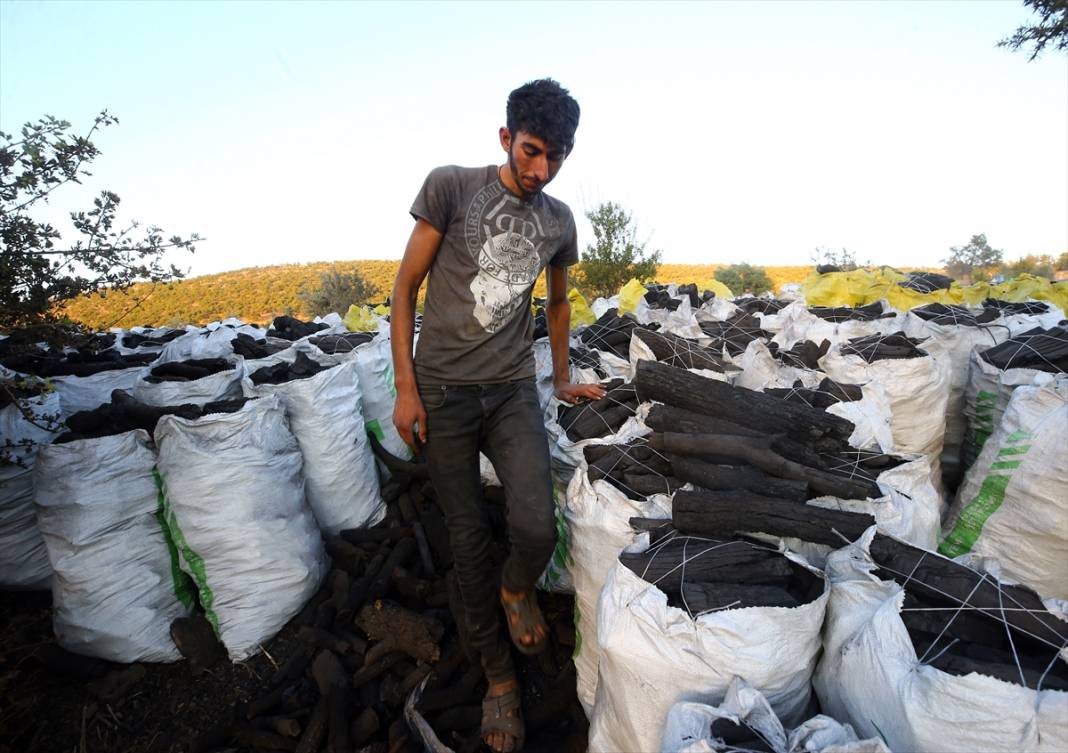 Konya'da mangal kömürcülerinin emeklerle dolu zorlu mücadelesi 11