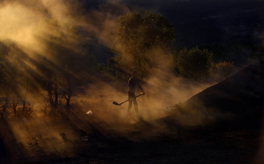 Konya'da mangal kömürcülerinin emeklerle dolu zorlu mücadelesi 3