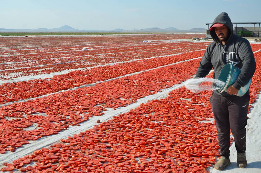 Konya Ereğli'den dünyaya 41 milyon TL’lik domates kurusu ihracatı 14