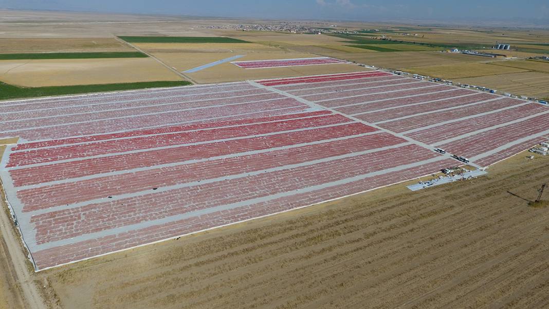 Konya Ereğli'den dünyaya 41 milyon TL’lik domates kurusu ihracatı 5