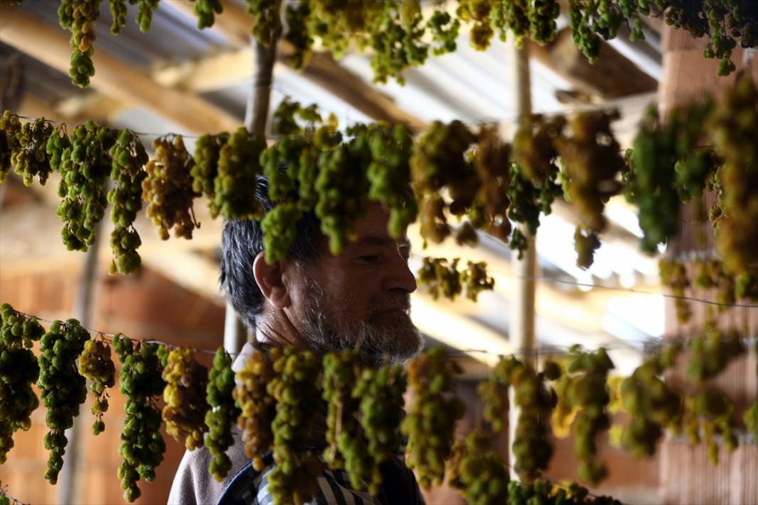Konya'da tavan arasında kurutulan yeşil kuru üzüm benzersiz tadıyla ilgi görüyor 8