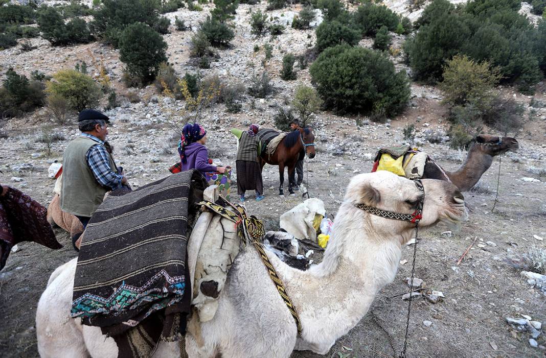 Sarıkeçili Yörüklerin Konya’dan develerle kış yurdu göçü başladı 10