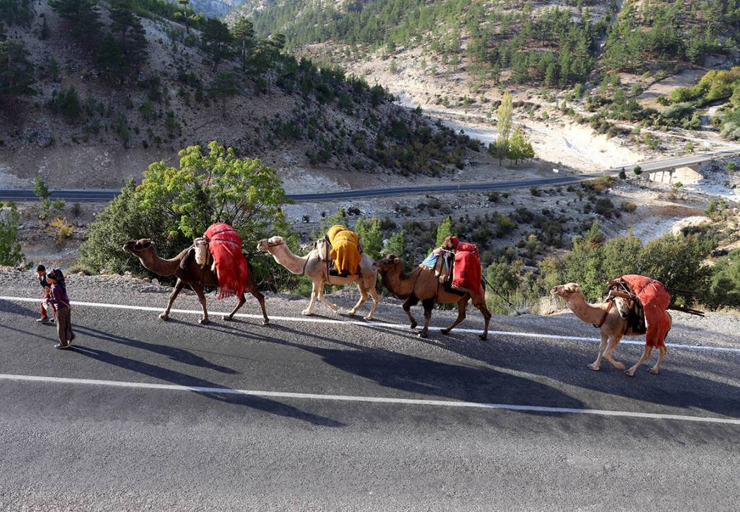 Sarıkeçili Yörüklerin Konya’dan develerle kış yurdu göçü başladı 12