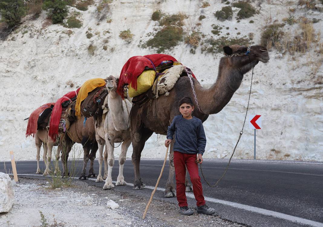 Sarıkeçili Yörüklerin Konya’dan develerle kış yurdu göçü başladı 14