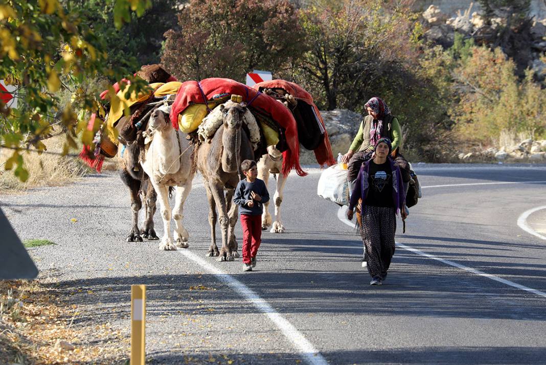 Sarıkeçili Yörüklerin Konya’dan develerle kış yurdu göçü başladı 15