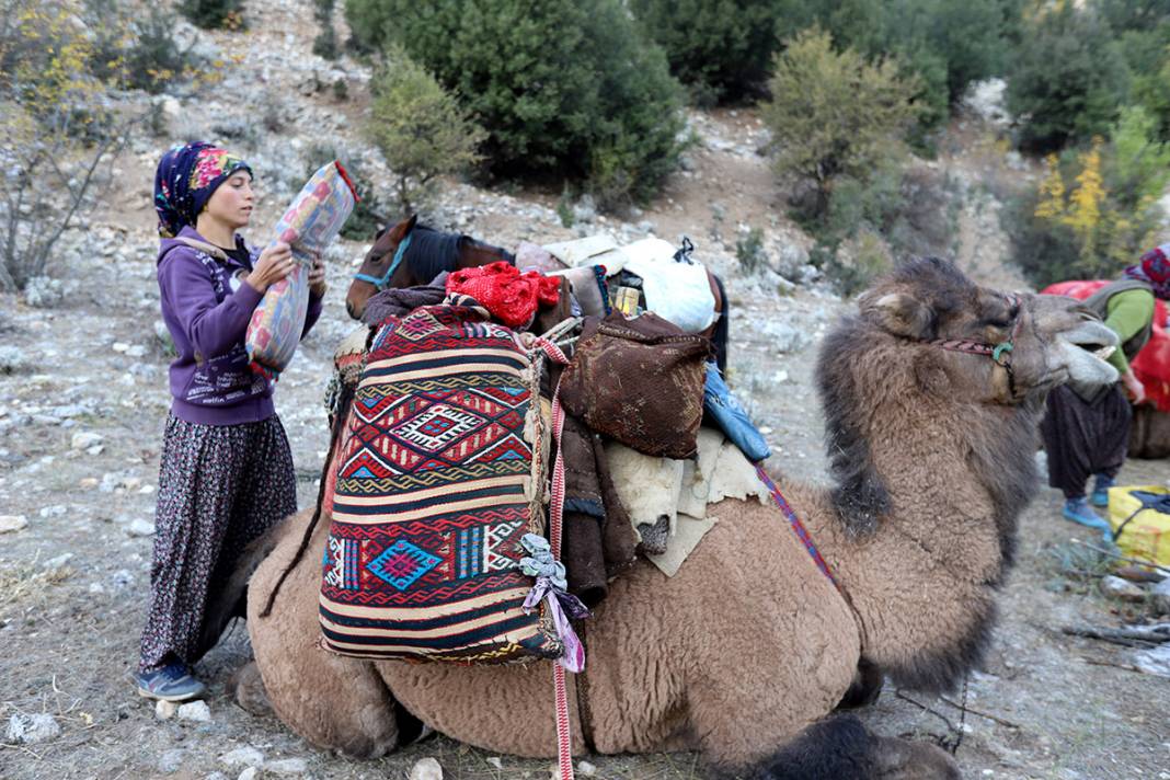 Sarıkeçili Yörüklerin Konya’dan develerle kış yurdu göçü başladı 8