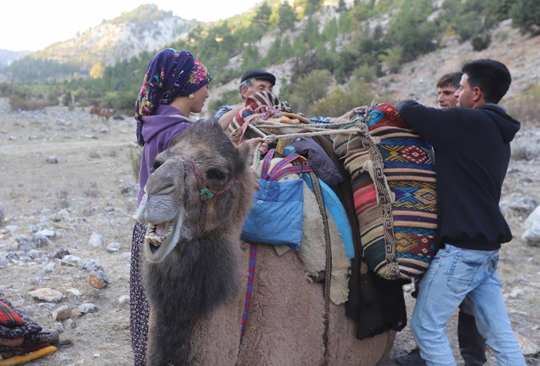Sarıkeçili Yörüklerin Konya’dan develerle kış yurdu göçü başladı 9