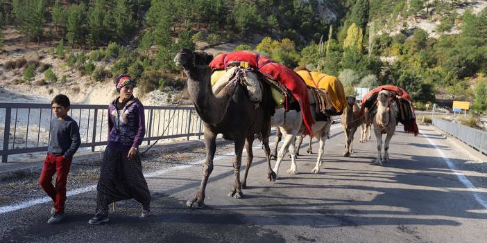 Sarıkeçili Yörüklerin Konya’dan develerle kış yurdu göçü başladı