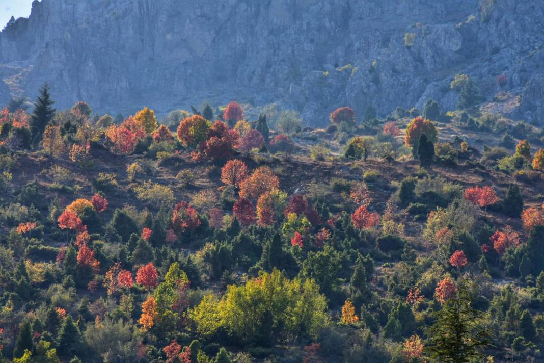 Torosların incisi Küpe Dağı’nda sonbahar renkliliği 1
