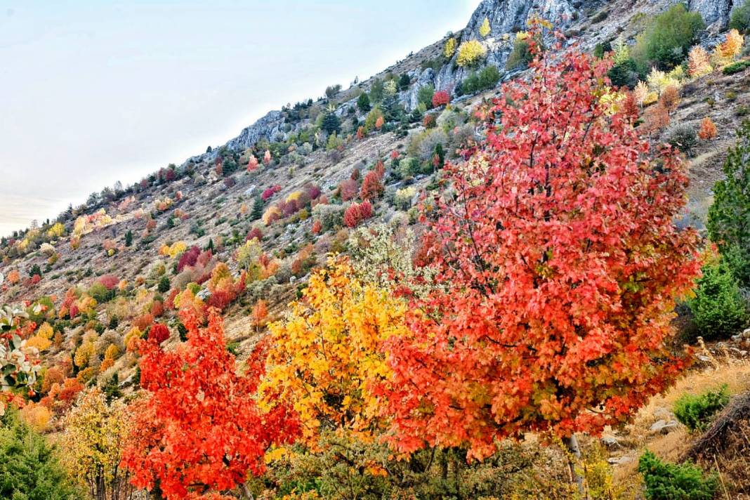 Torosların incisi Küpe Dağı’nda sonbahar renkliliği 10
