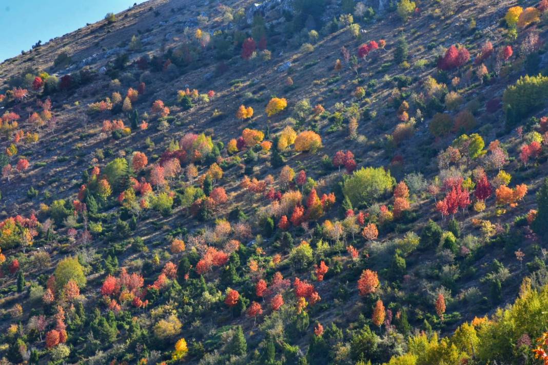 Torosların incisi Küpe Dağı’nda sonbahar renkliliği 11