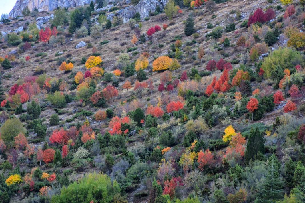 Torosların incisi Küpe Dağı’nda sonbahar renkliliği 12
