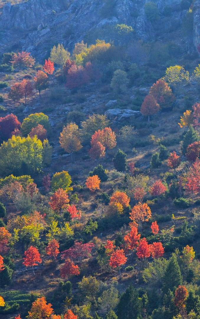 Torosların incisi Küpe Dağı’nda sonbahar renkliliği 14