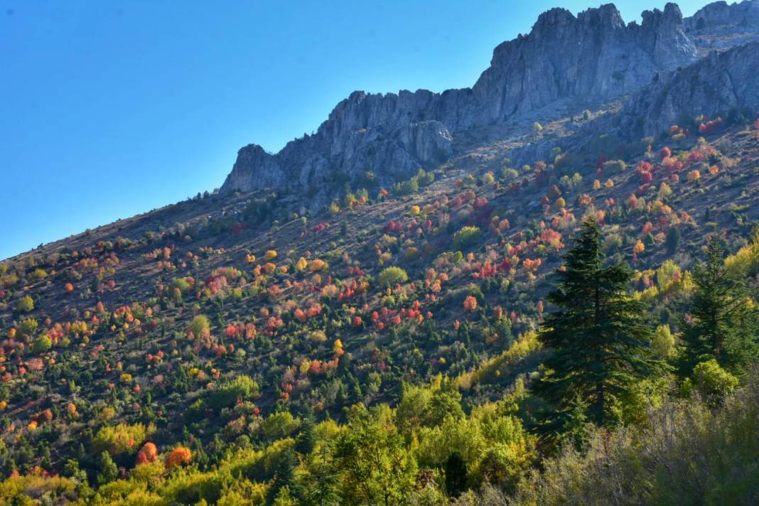 Torosların incisi Küpe Dağı’nda sonbahar renkliliği 3
