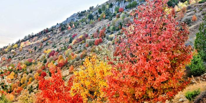 Torosların incisi Küpe Dağı’nda sonbahar renkliliği