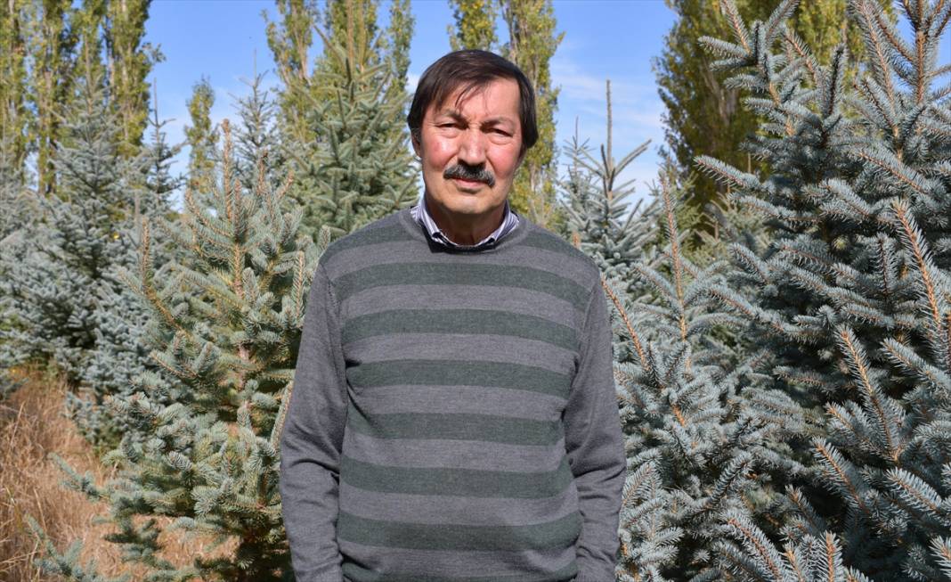Konya'da yaşayan profesör, amcasından yadigar mavi ladinlere sahip çıkıyor 6