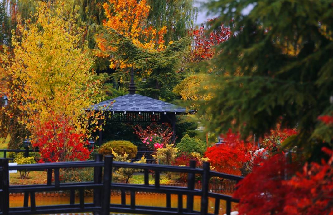 Konya'daki Kuğulu ve Japon Parkı hazan renklerine büründü 1