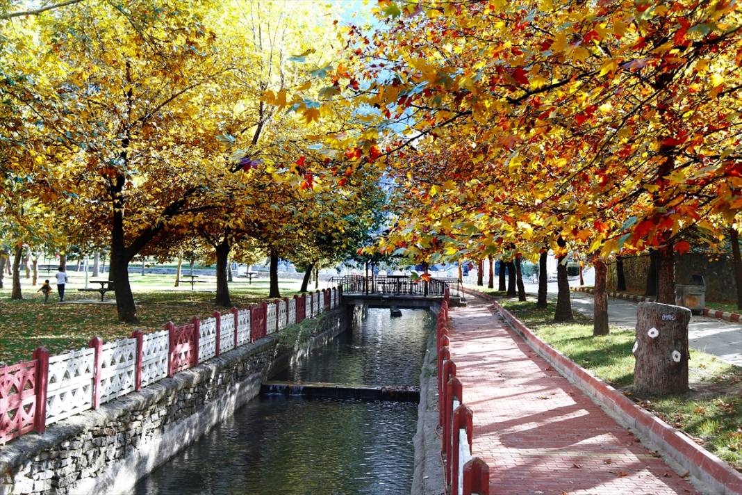 Konya'daki Kuğulu ve Japon Parkı hazan renklerine büründü 12