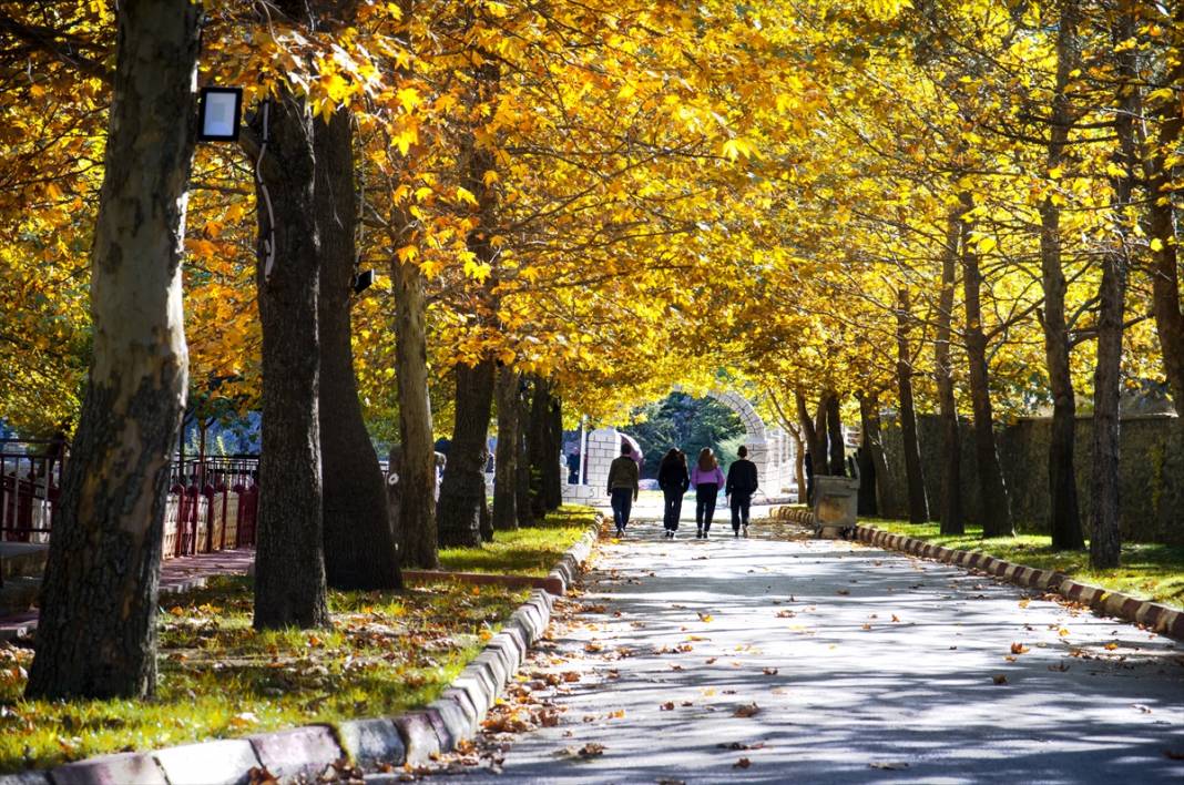 Konya'daki Kuğulu ve Japon Parkı hazan renklerine büründü 21