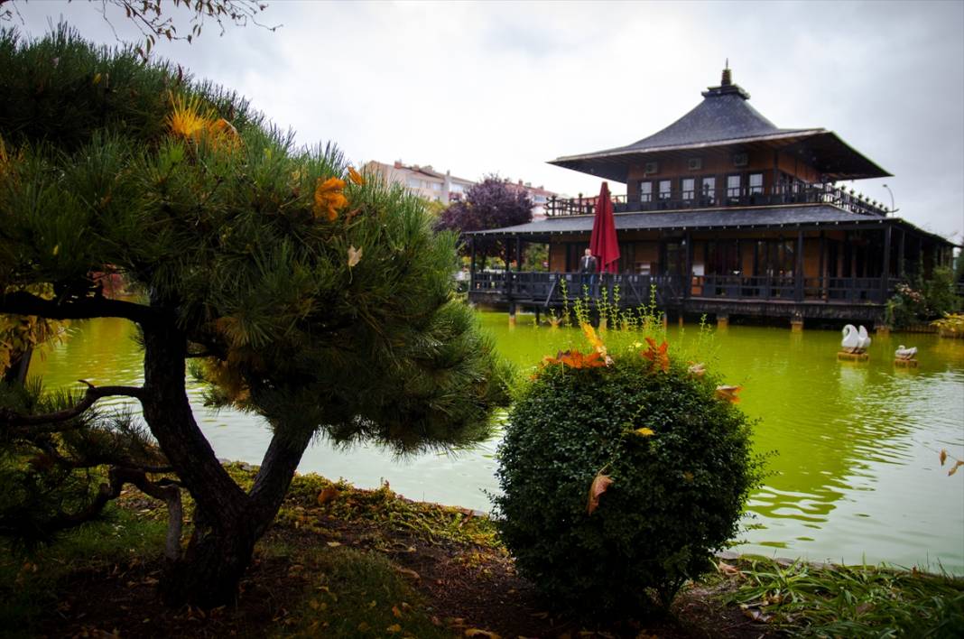 Konya'daki Kuğulu ve Japon Parkı hazan renklerine büründü 4