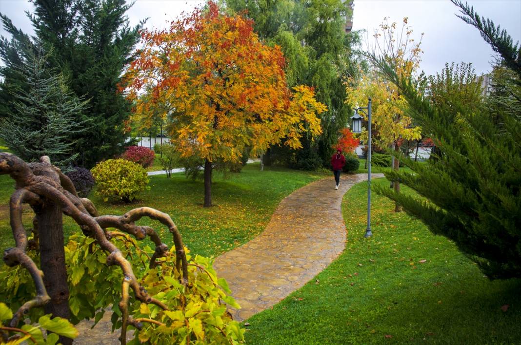 Konya'daki Kuğulu ve Japon Parkı hazan renklerine büründü 5