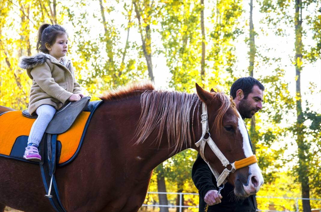 Konya'da şampiyon atların yetiştirildiği haralar, sonbaharla ayrı bir güzelliğe büründü 5