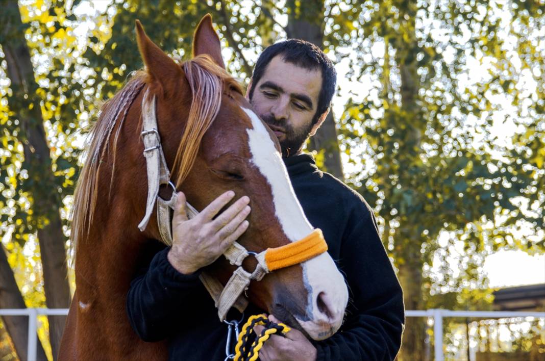 Konya'da şampiyon atların yetiştirildiği haralar, sonbaharla ayrı bir güzelliğe büründü 7