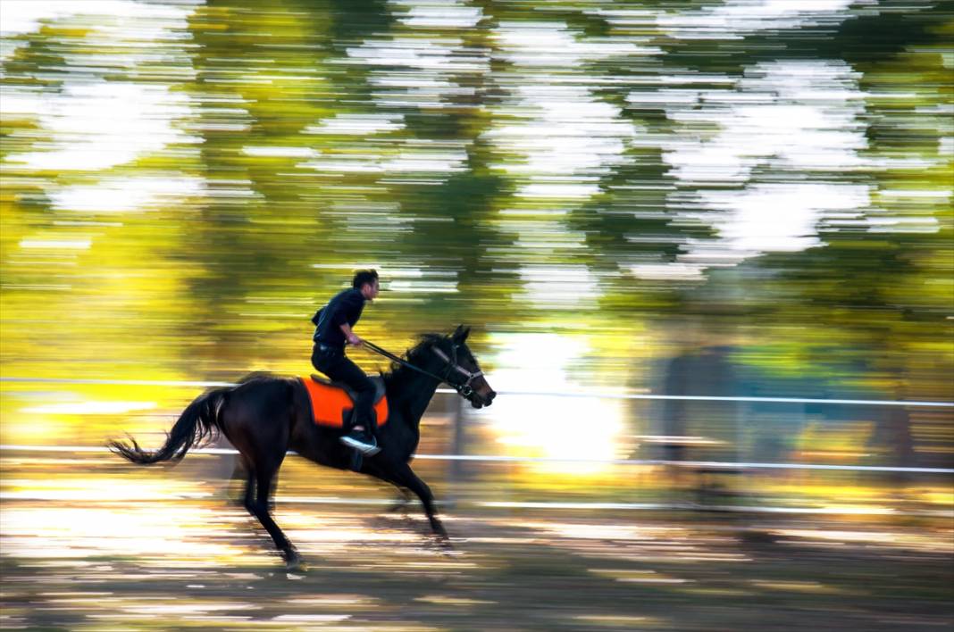 Konya'da şampiyon atların yetiştirildiği haralar, sonbaharla ayrı bir güzelliğe büründü 8