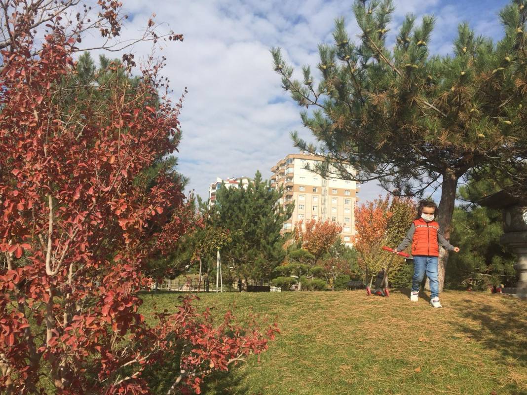 Konya’da sonbahar güzelliği! Yazdan kalma güneşli günlerin tadı renkten renge bürünmüş parklarda çıkartılıyor 10