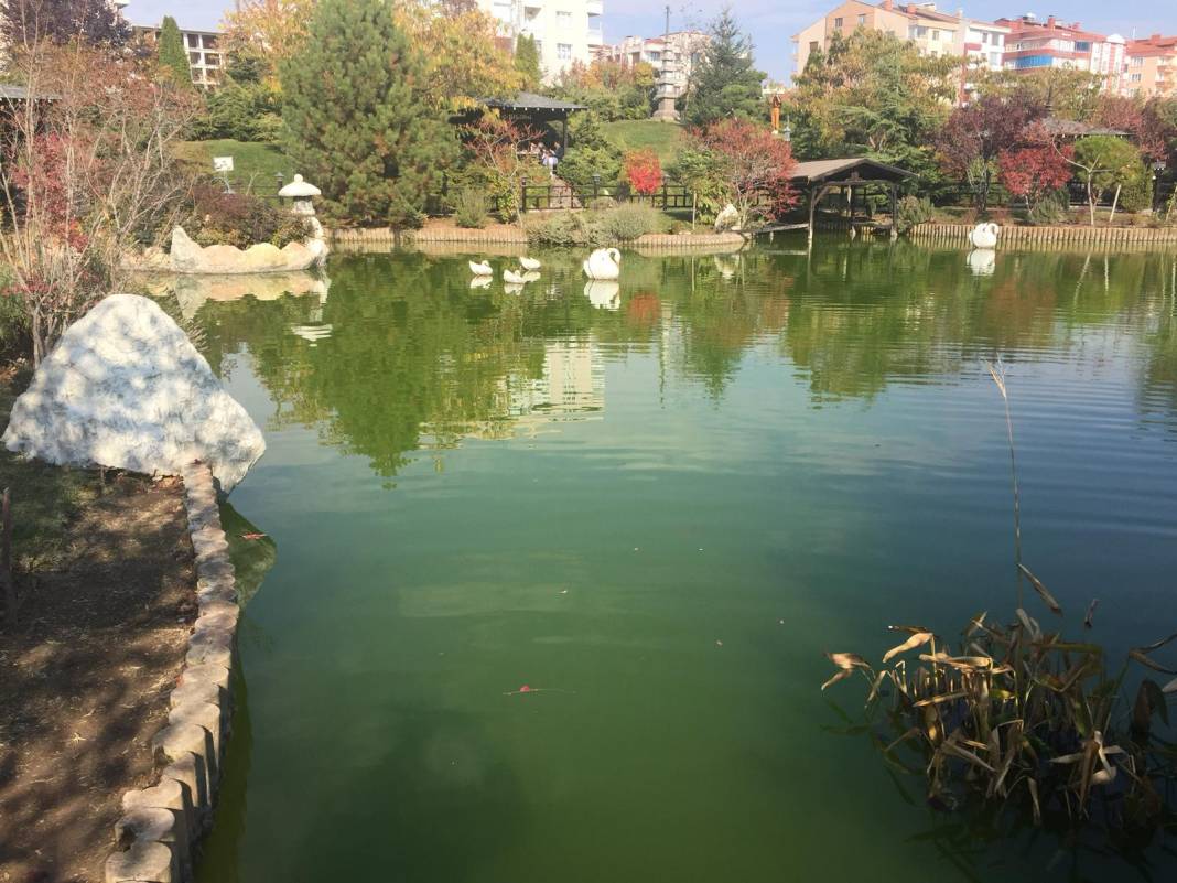 Konya’da sonbahar güzelliği! Yazdan kalma güneşli günlerin tadı renkten renge bürünmüş parklarda çıkartılıyor 14