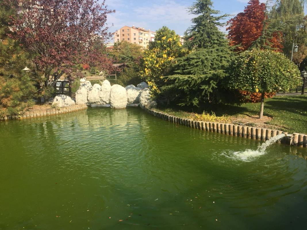 Konya’da sonbahar güzelliği! Yazdan kalma güneşli günlerin tadı renkten renge bürünmüş parklarda çıkartılıyor 16