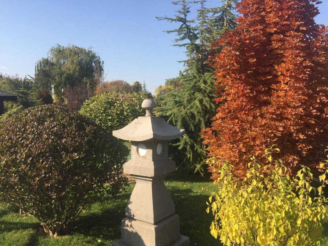 Konya’da sonbahar güzelliği! Yazdan kalma güneşli günlerin tadı renkten renge bürünmüş parklarda çıkartılıyor 19