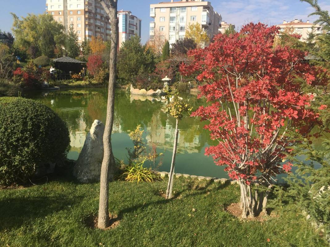 Konya’da sonbahar güzelliği! Yazdan kalma güneşli günlerin tadı renkten renge bürünmüş parklarda çıkartılıyor 20