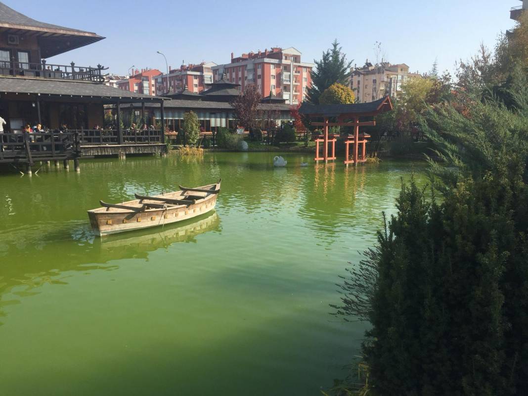 Konya’da sonbahar güzelliği! Yazdan kalma güneşli günlerin tadı renkten renge bürünmüş parklarda çıkartılıyor 23