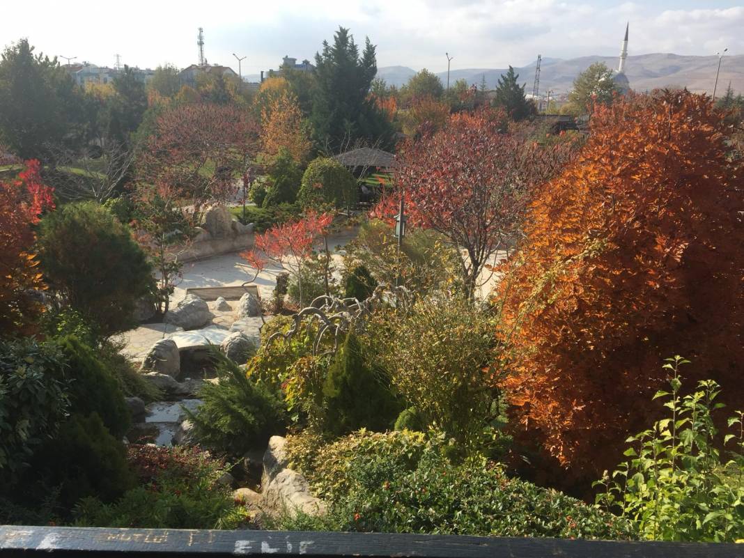 Konya’da sonbahar güzelliği! Yazdan kalma güneşli günlerin tadı renkten renge bürünmüş parklarda çıkartılıyor 3