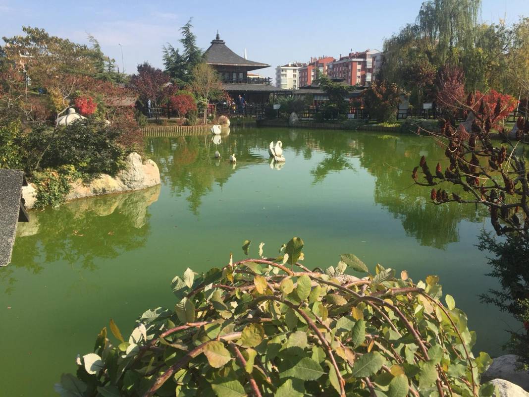 Konya’da sonbahar güzelliği! Yazdan kalma güneşli günlerin tadı renkten renge bürünmüş parklarda çıkartılıyor 9