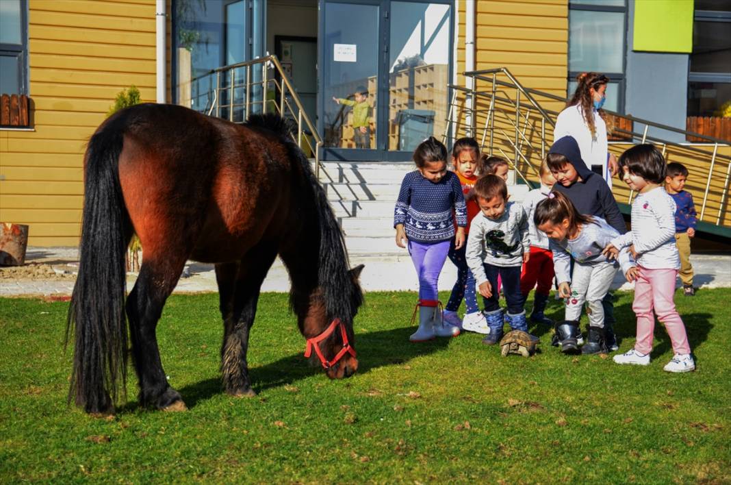 Konya'da bir anaokulunun öğrencileri at, ceylan ve kuzularla eğitim görüyor 1