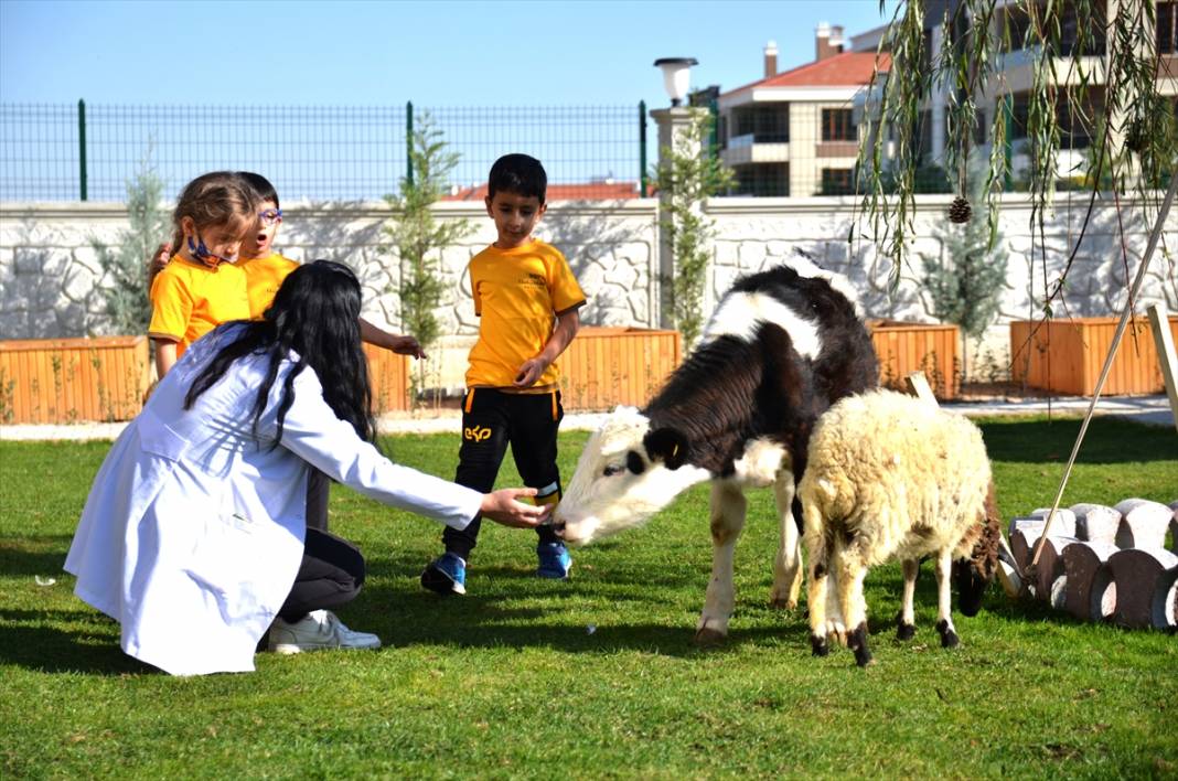 Konya'da bir anaokulunun öğrencileri at, ceylan ve kuzularla eğitim görüyor 10