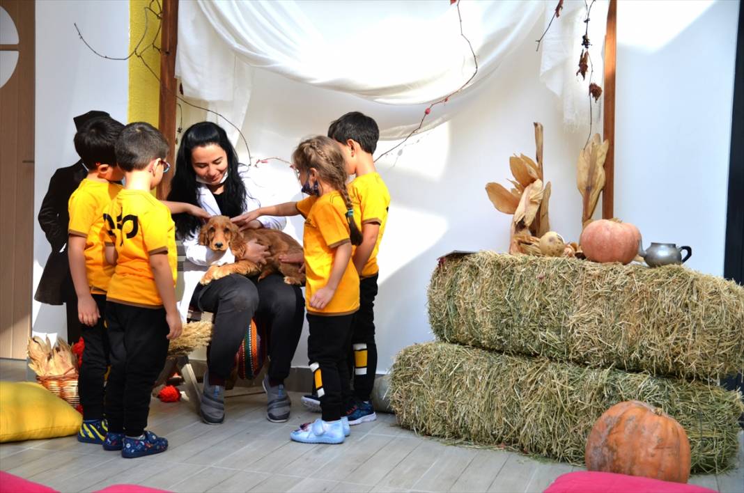 Konya'da bir anaokulunun öğrencileri at, ceylan ve kuzularla eğitim görüyor 12
