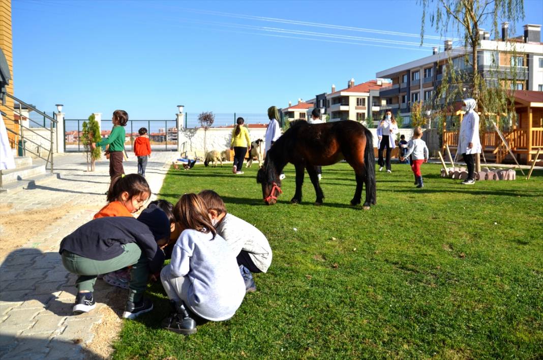 Konya'da bir anaokulunun öğrencileri at, ceylan ve kuzularla eğitim görüyor 2