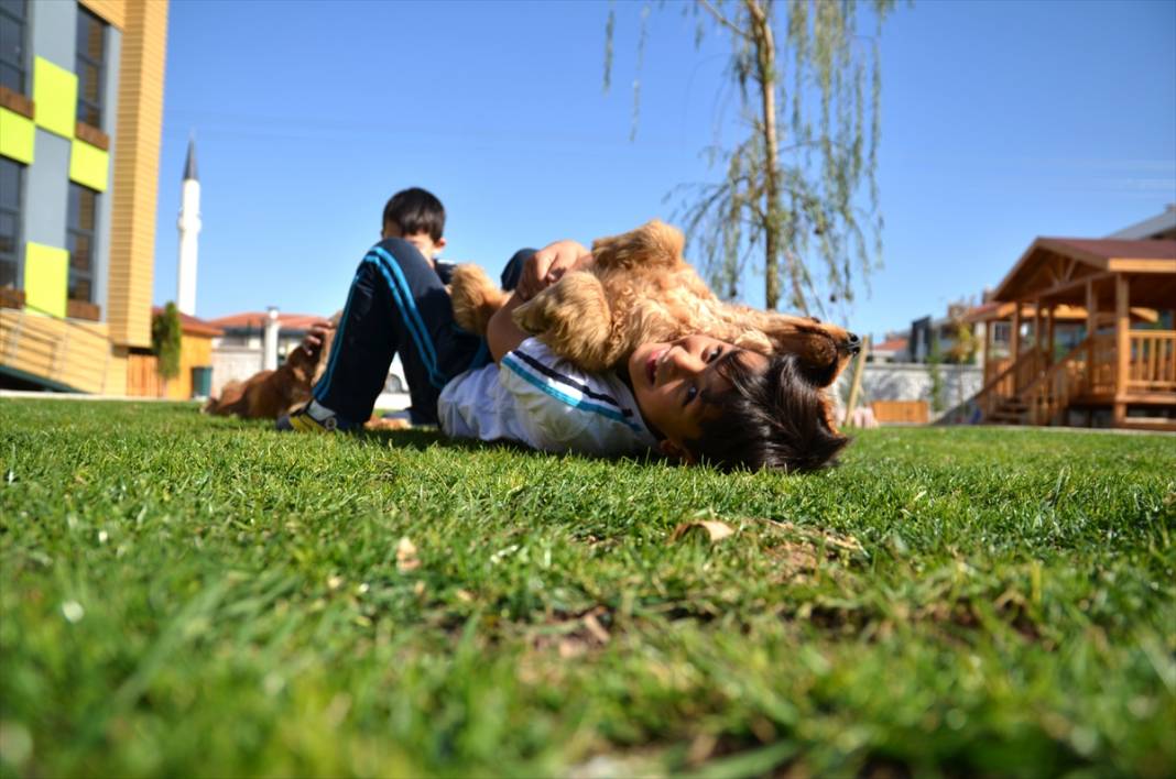 Konya'da bir anaokulunun öğrencileri at, ceylan ve kuzularla eğitim görüyor 5