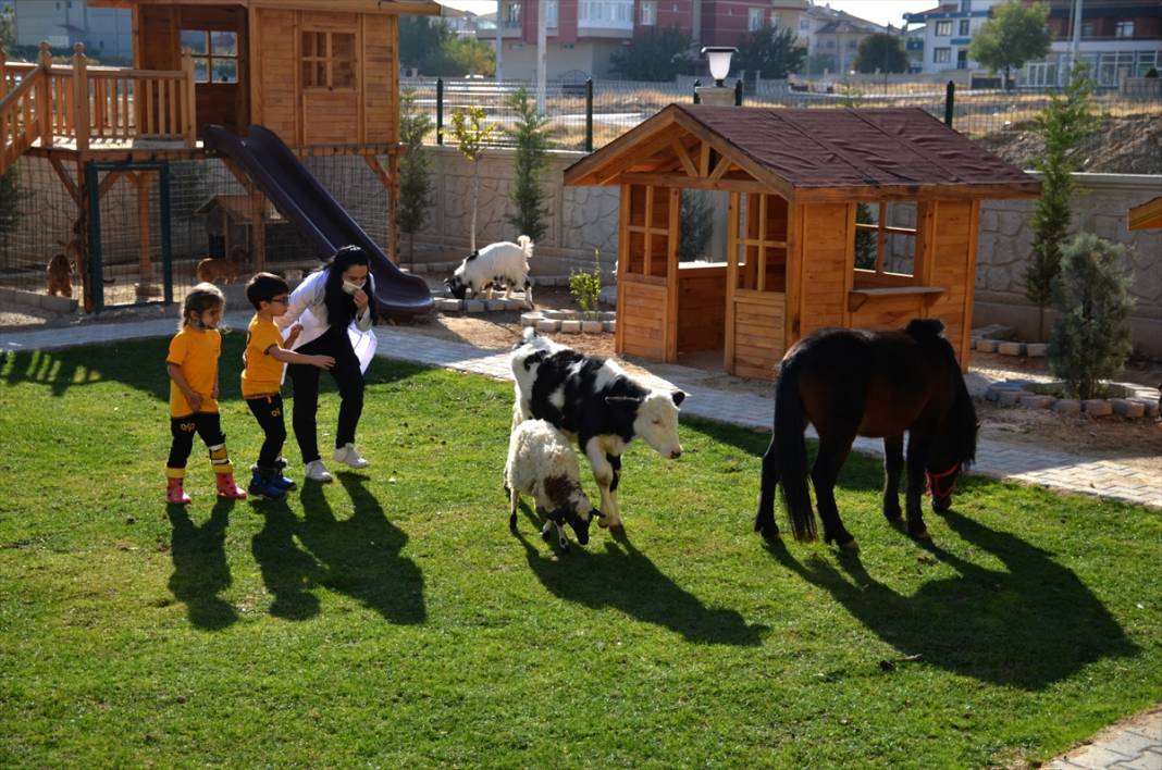 Konya'da bir anaokulunun öğrencileri at, ceylan ve kuzularla eğitim görüyor 7