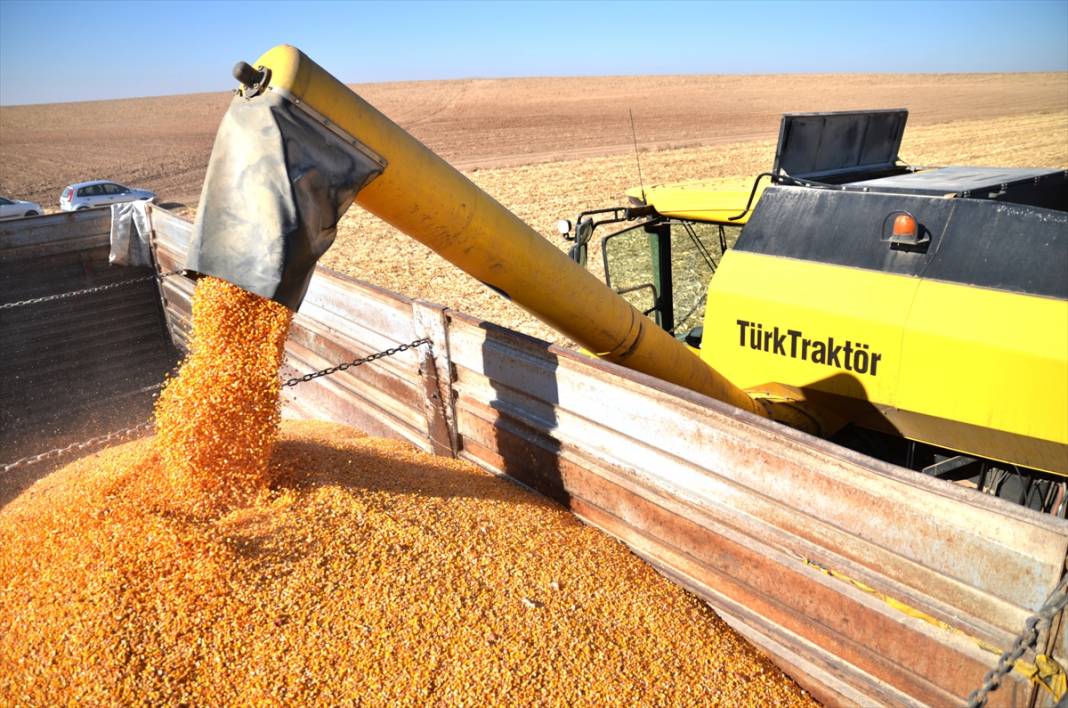 Türkiye'de tarımsal üretimin sigortası: Konya Ovası 13