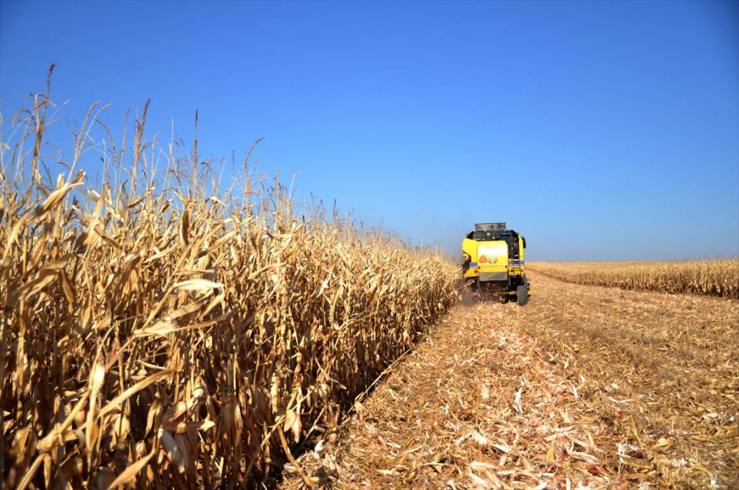Türkiye'de tarımsal üretimin sigortası: Konya Ovası 3