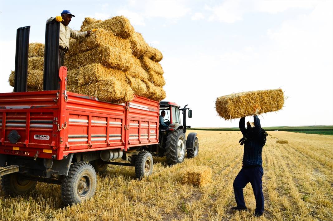 Türkiye'de tarımsal üretimin sigortası: Konya Ovası 7