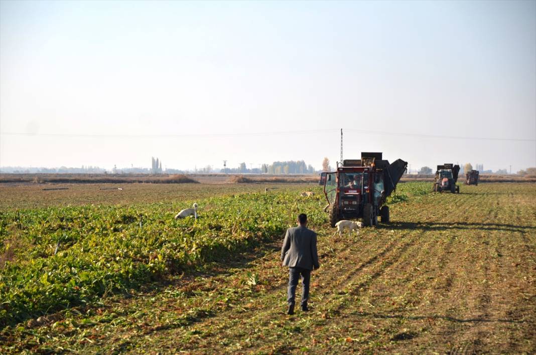 Türkiye'de tarımsal üretimin sigortası: Konya Ovası 8